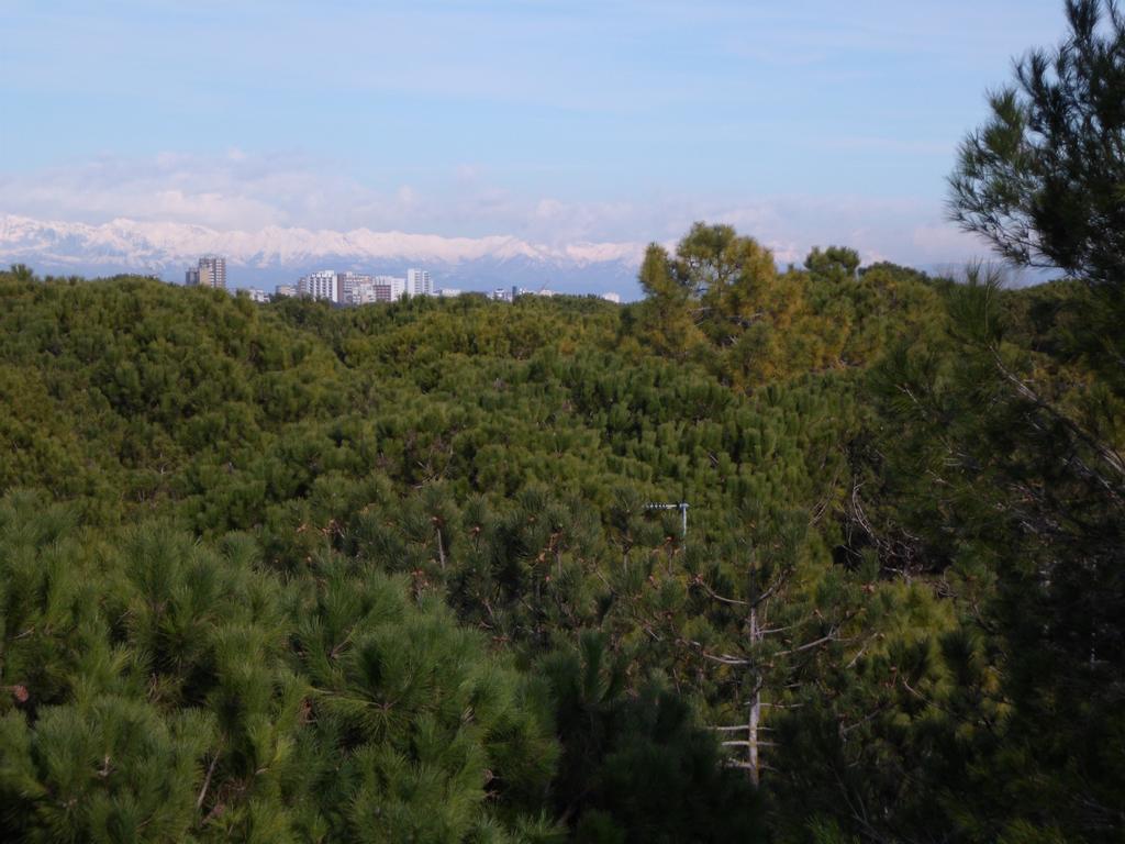 Residence Gardenia Lignano Sabbiadoro Eksteriør billede